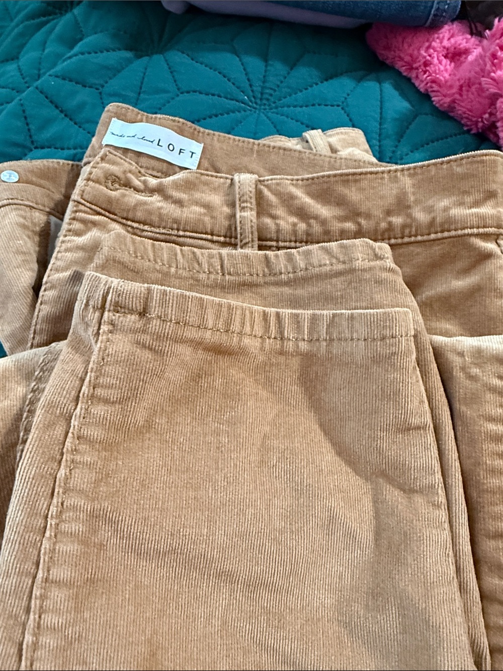 LOFT  Woman corduroy Pants in Tan